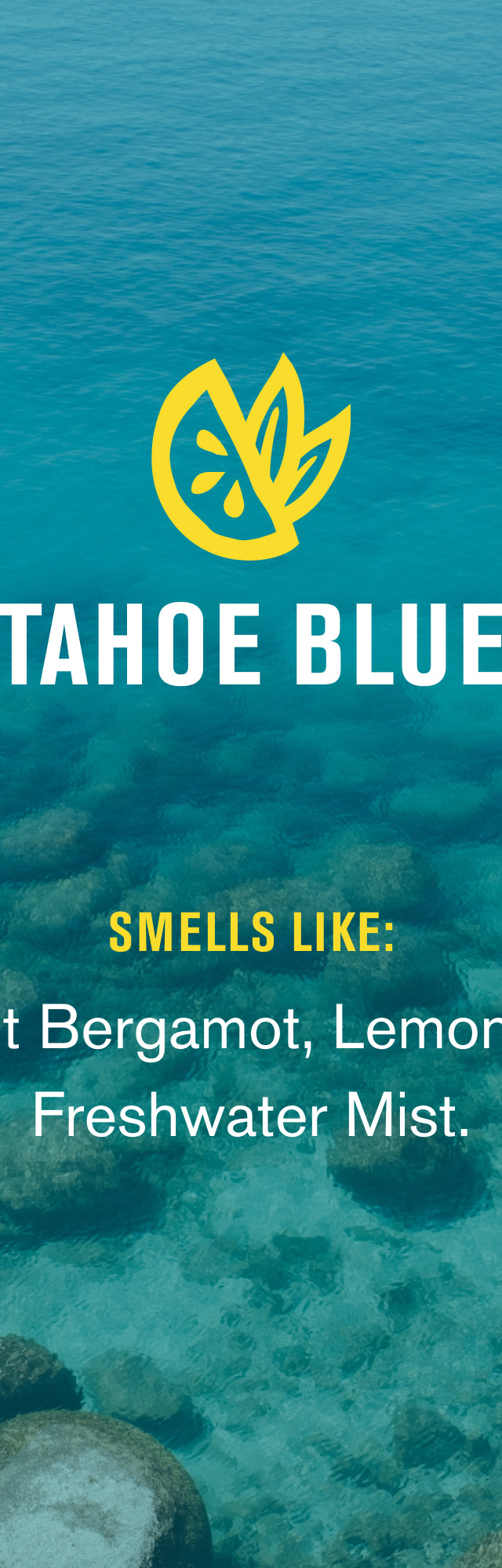 Tahoe Blue / Standard