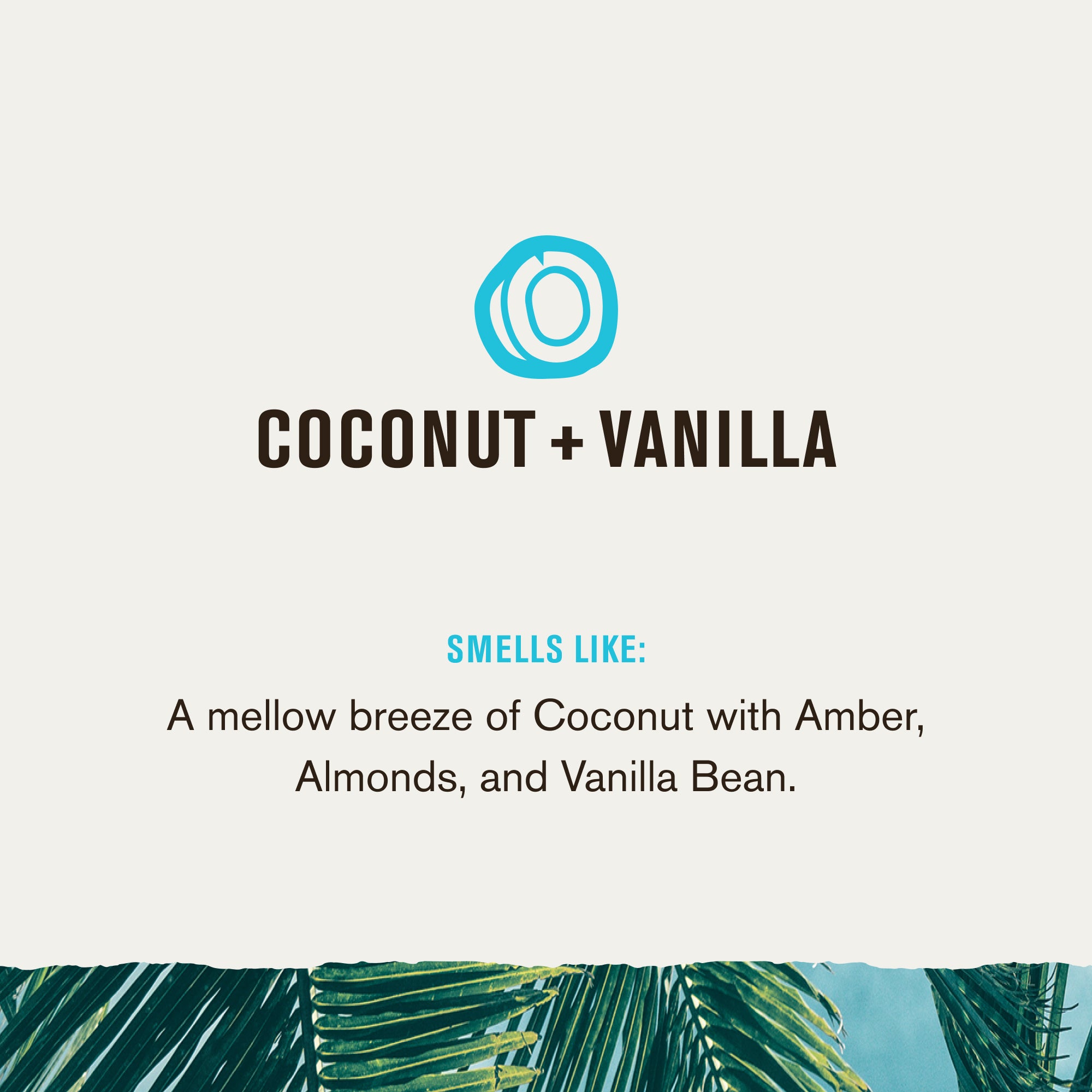 Coconut + Vanilla / Standard (87863901645)