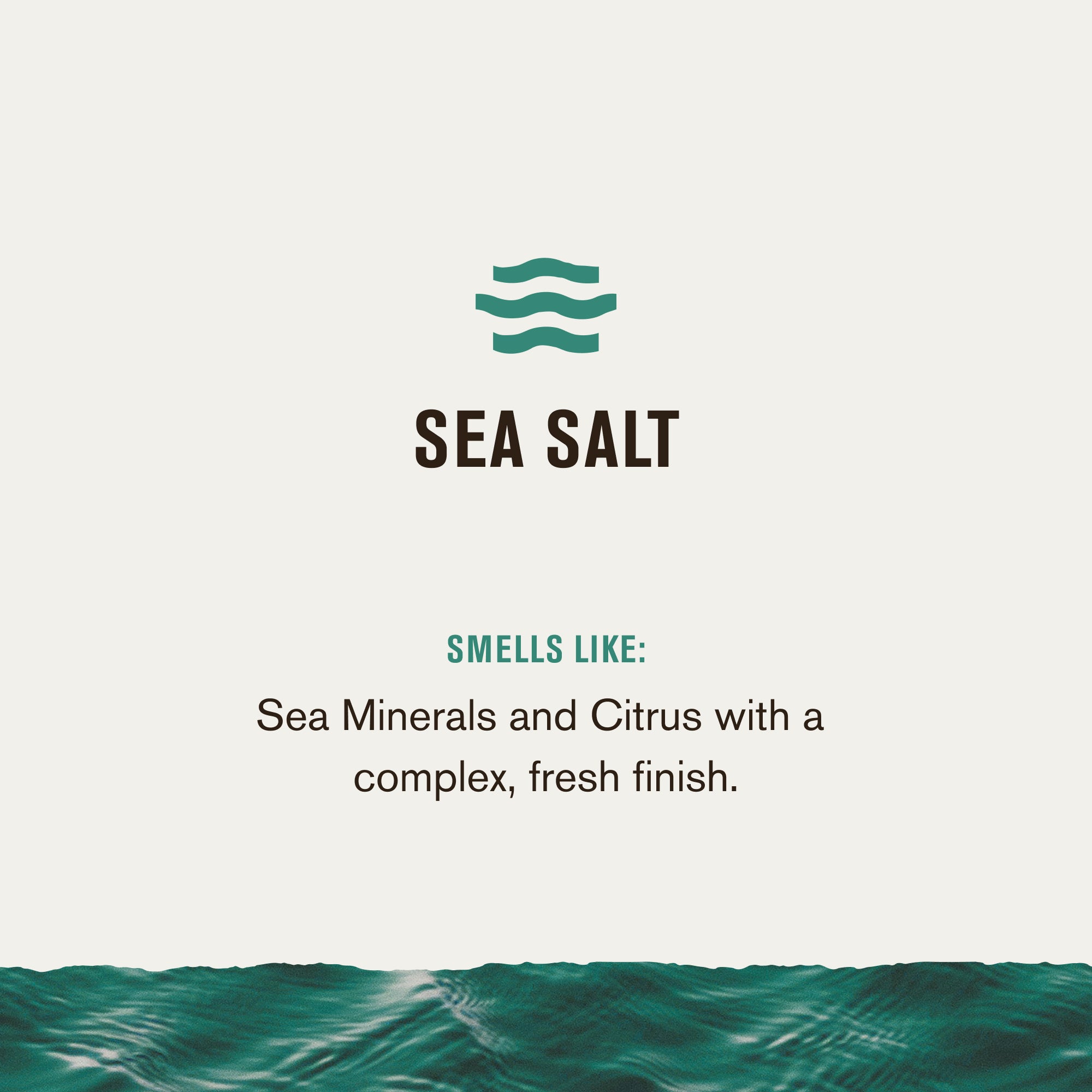 Sea Salt / Standard (8131564667042)