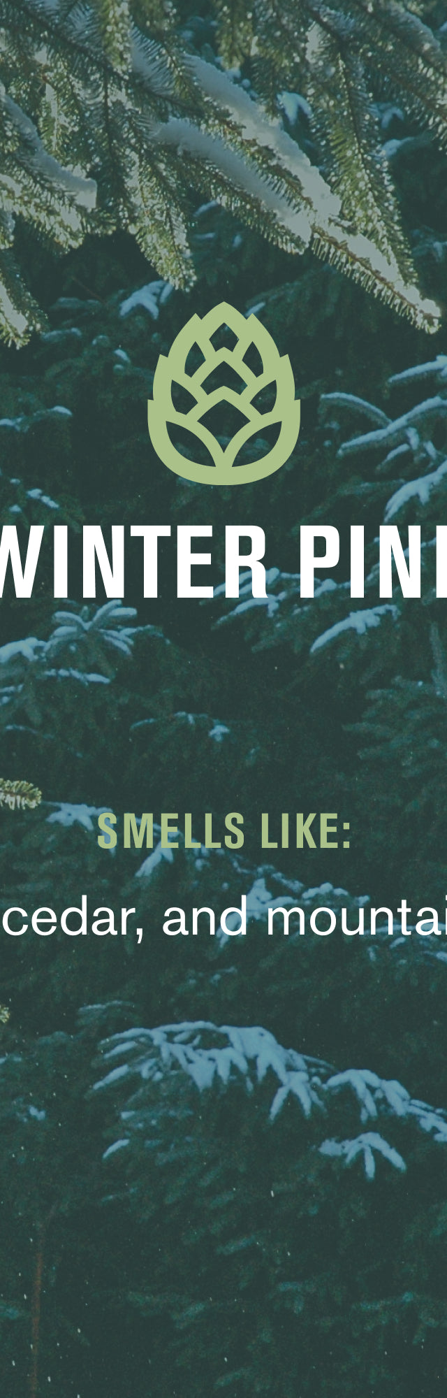 Winter Pine / Standard (878639015463)